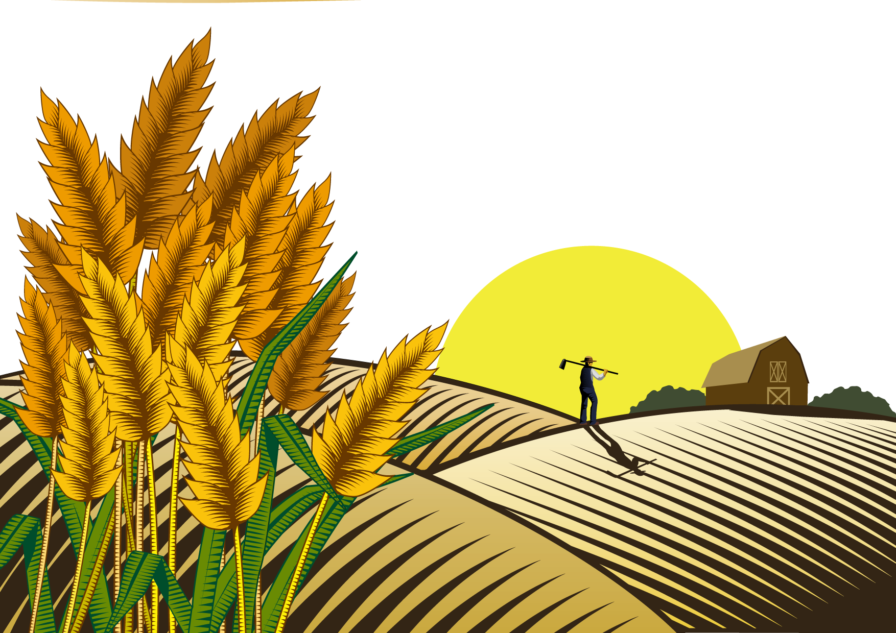 revitaliser les sols